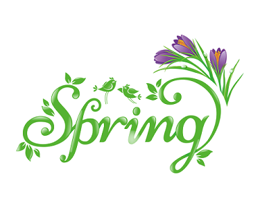 spring字体素材