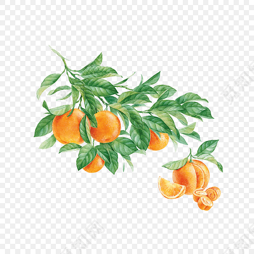 ֻӲ廭ز