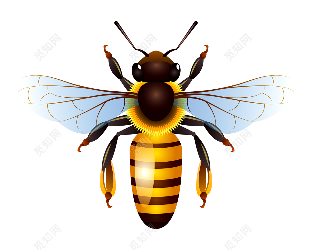 【蜜蜂q版】圖案推薦：41張可愛的蜜蜂q版圖下載 - 天天瘋後製