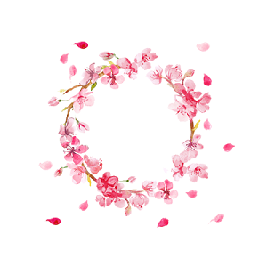 花png图片 花png免抠素材下载 觅知网 澳门金沙网投 花png图片 花png免抠素材下载 觅知网 澳门金沙网投