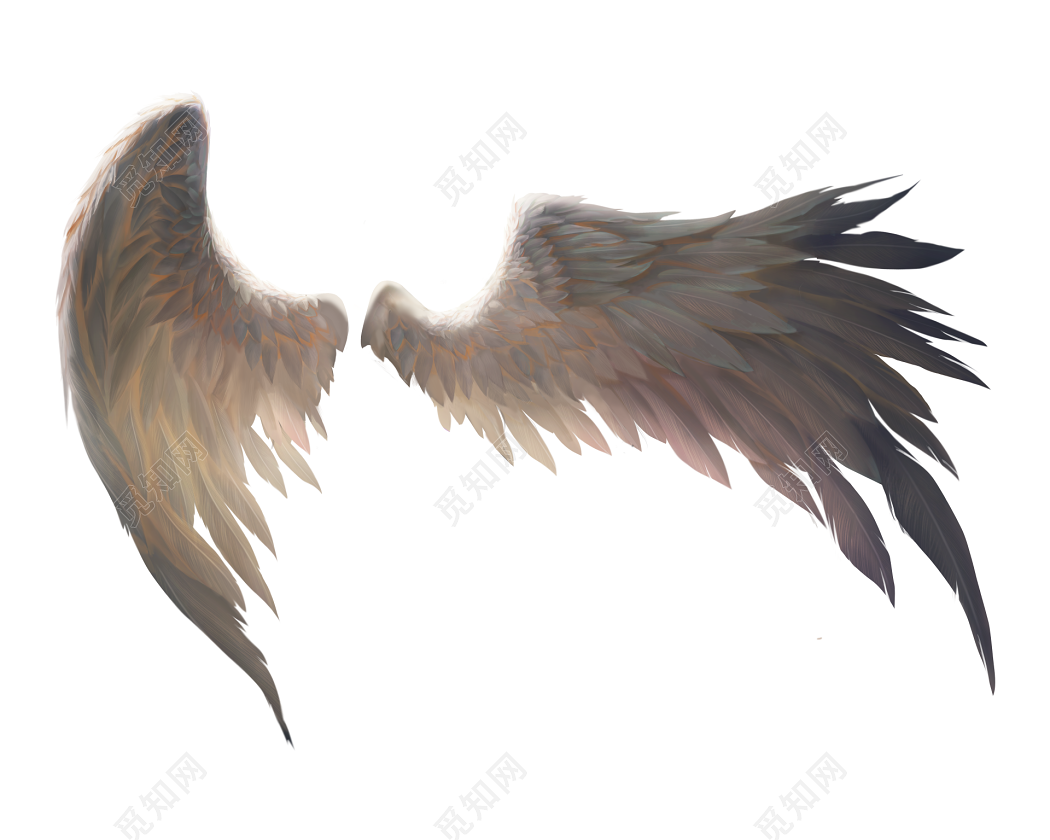 翅膀孤立动物羽毛羽翼鸟自由飞行自然和平设计矢量插图插画图片素材_ID:171173365-Veer图库