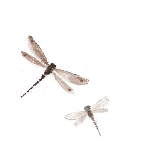 古风水墨两只蜻蜓素材