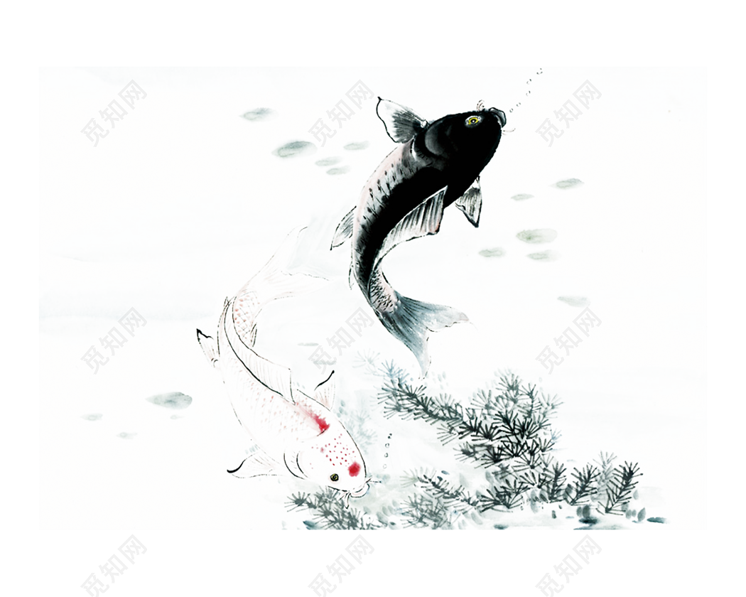 两个红海鲷鱼跳跃的插图插画图片素材_ID:385832908-Veer图库