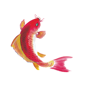 水彩红鱼图片