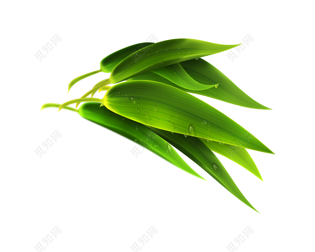 端午端午节绿色粽叶包粽子高清图片下载-正版图片500360313-摄图网