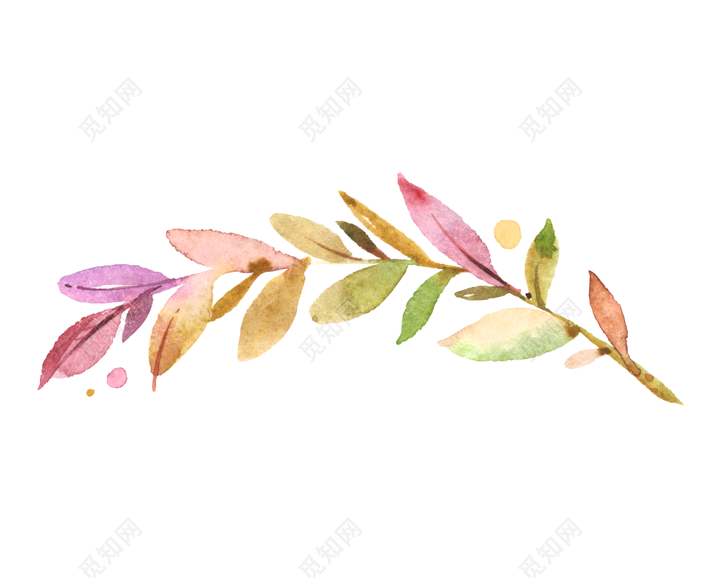 彩色手绘植物水彩素材免费下载 觅知网