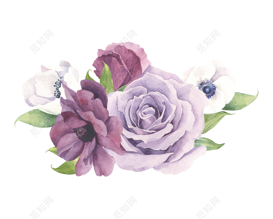 紫色唯美的郁金香图片_花卉图片_3g图片大全
