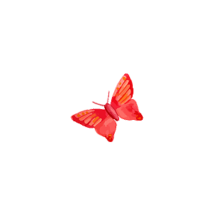 红蝴蝶头像图片