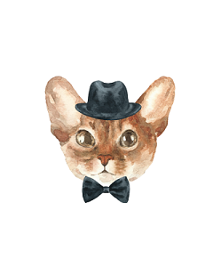 手绘猫耳素材 手绘猫耳元素图片下载 觅知网