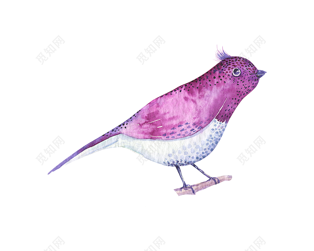 创意手绘紫色小鸟矢量图片免费下载 觅知网