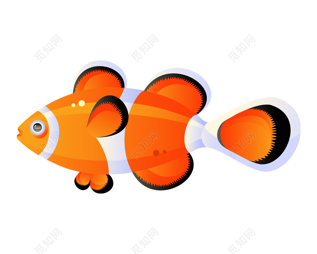 卡通小丑鱼图片_海洋生物_生物世界_图行天下图库