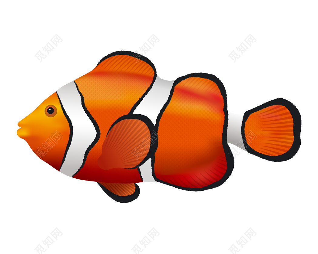 Imagens Blueback Fish PNG e Vetor, com Fundo Transparente Para Download Grátis | Pngtree