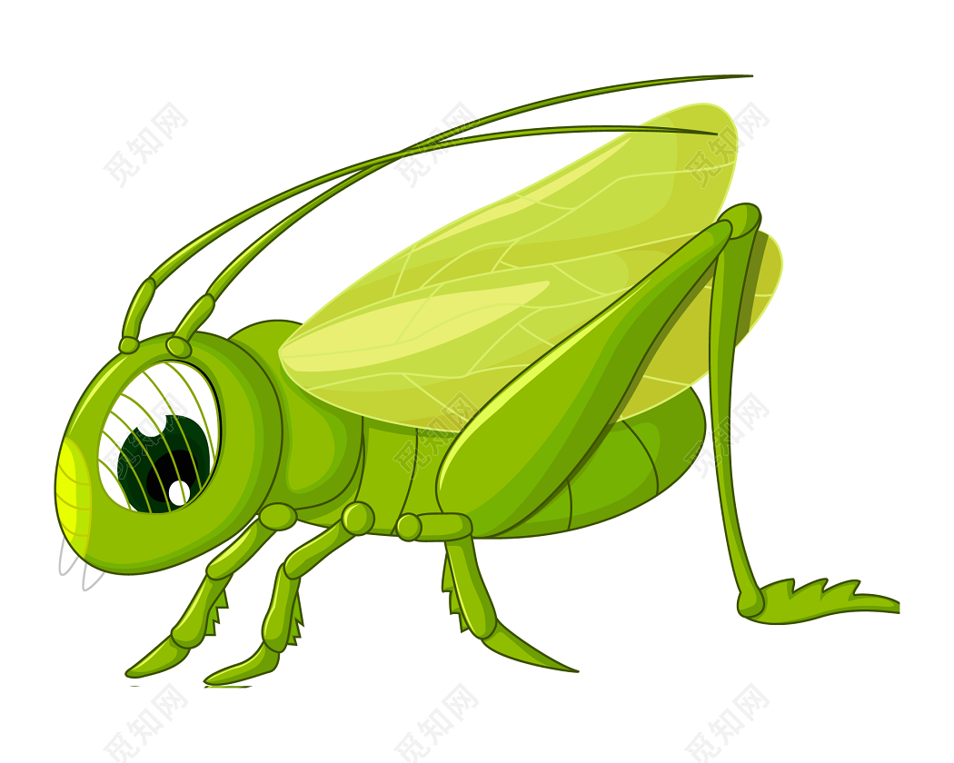 Insects Clipart Insect Grasshopper - Dibujos Animados De Un Grillo ...