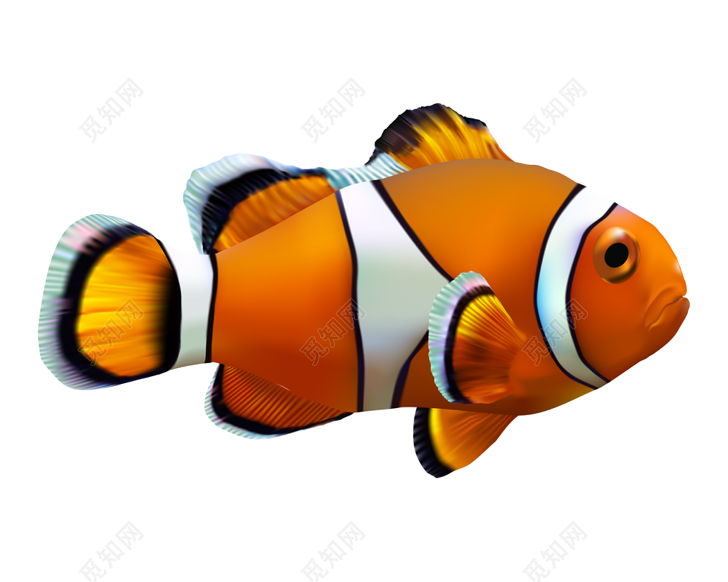 3D热带鱼（海底世界）动态屏保-