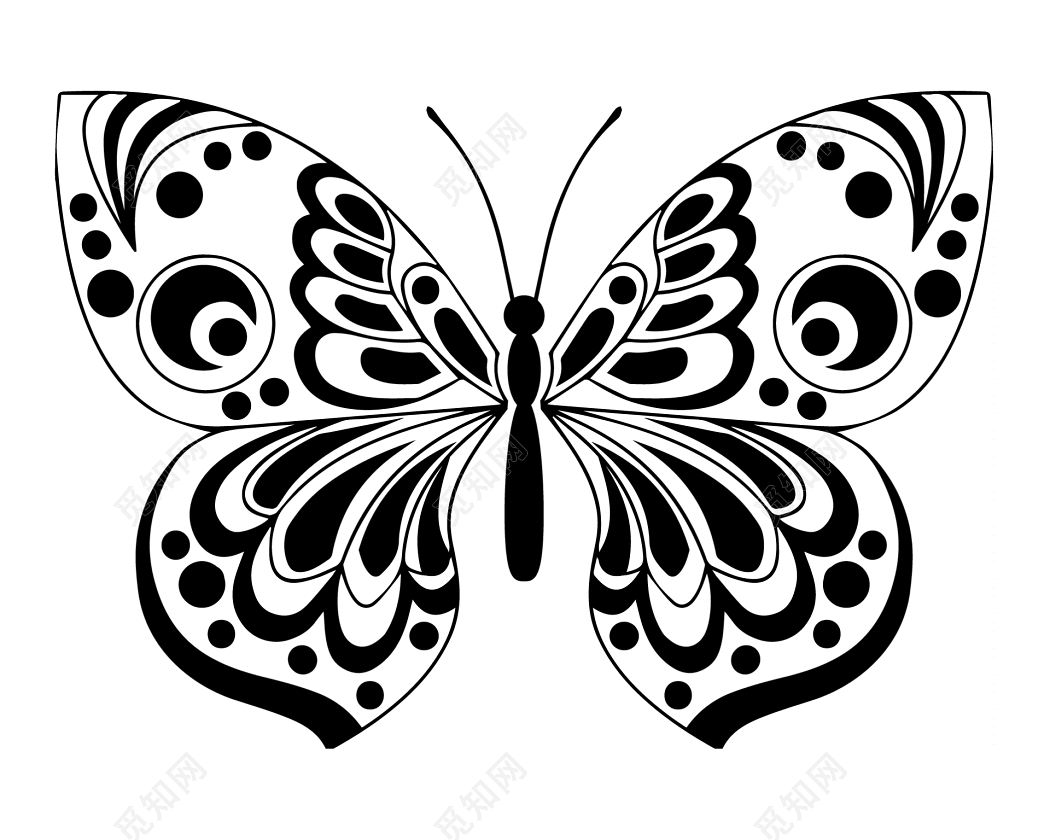 黑白线描临摹素材——漂亮的蝴蝶主题线描装饰画_翅膀