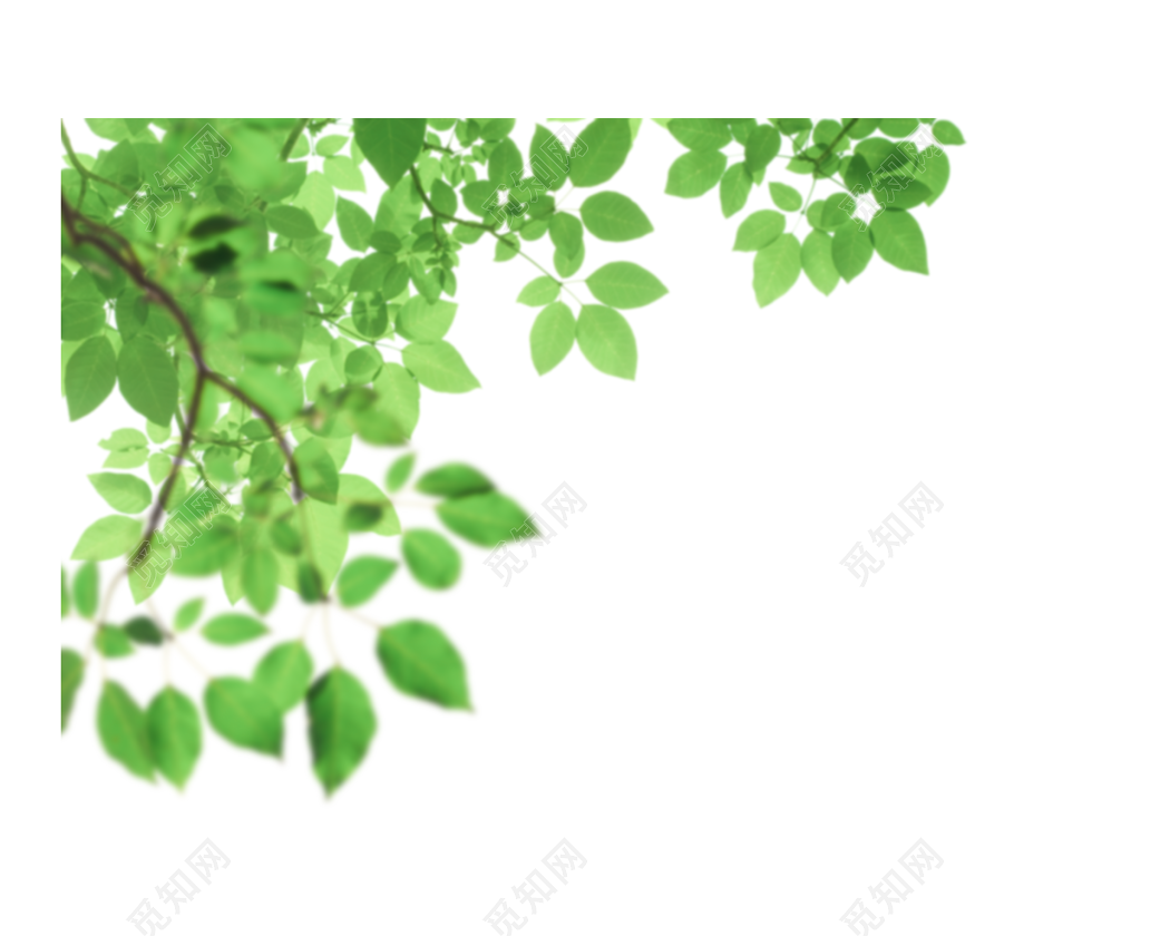 春天绿色叶子树叶素材免费下载 - 觅知网