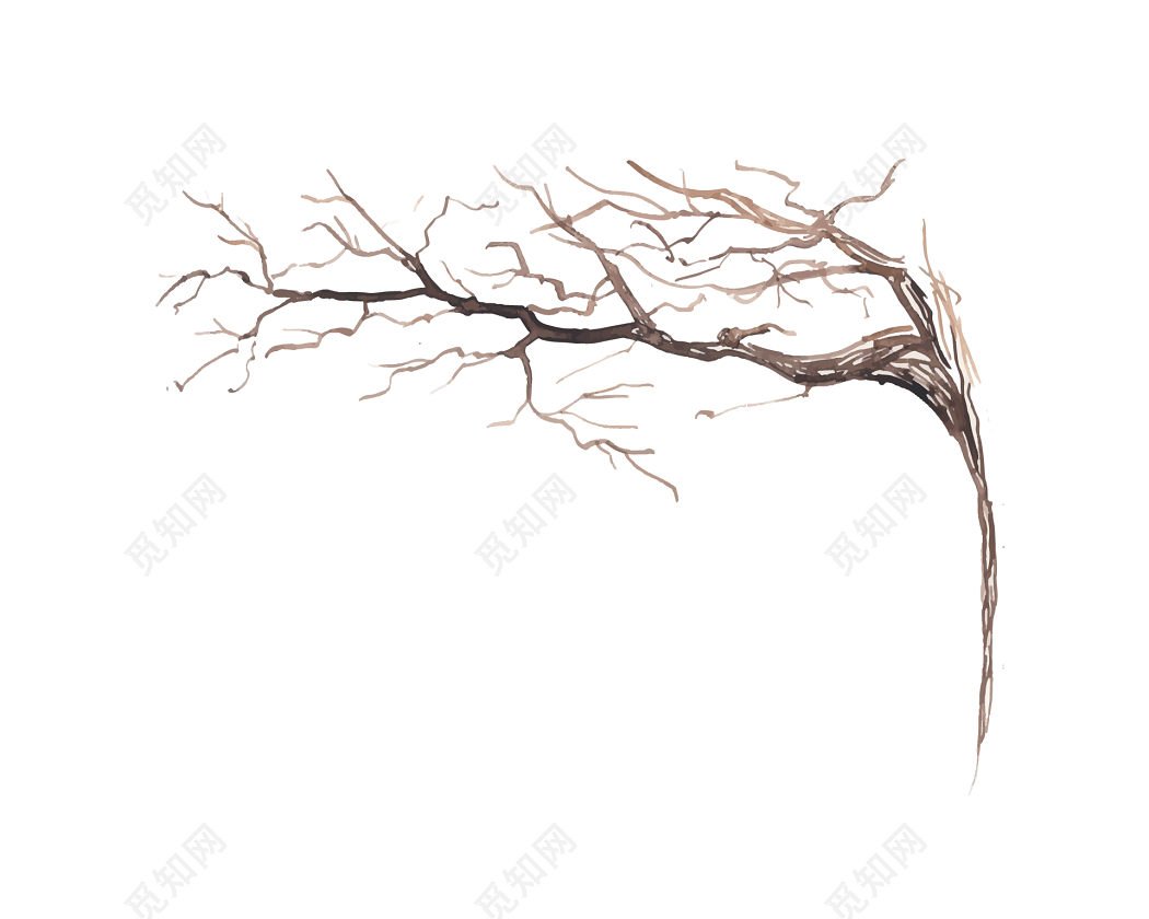 枫树树枝插画图片素材免费下载 - 觅知网