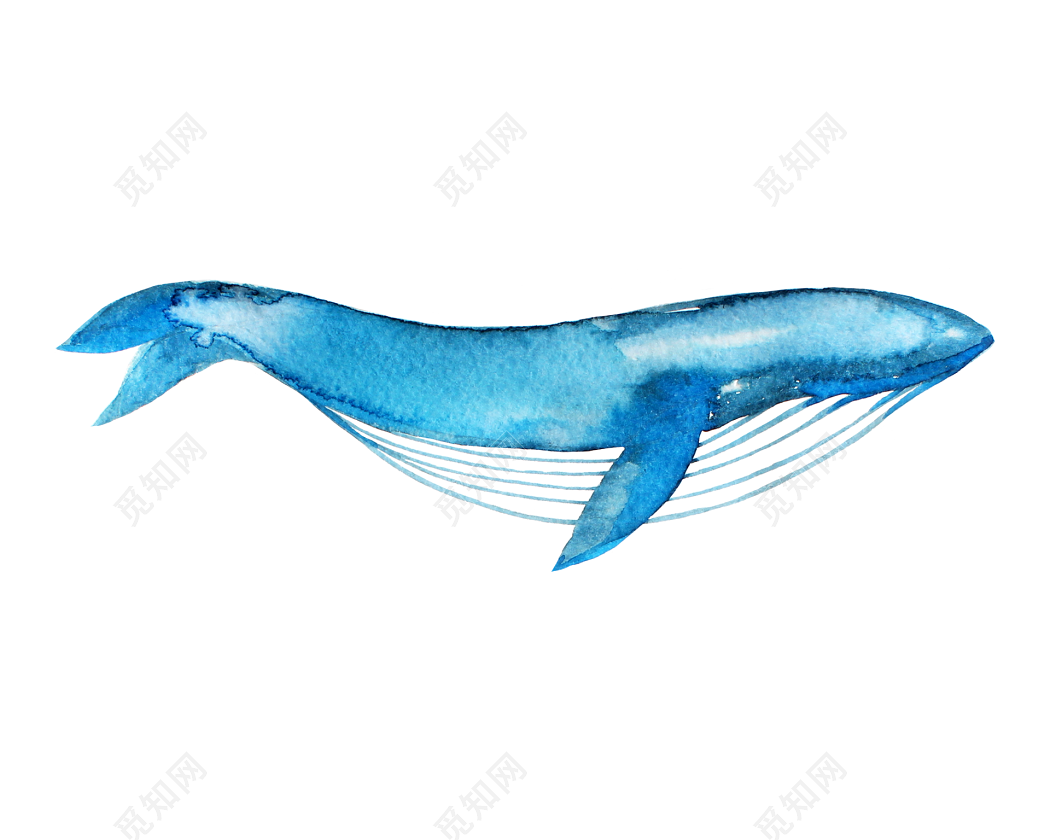 卡通鲸鱼矢量图图片素材免费下载 - 觅知网