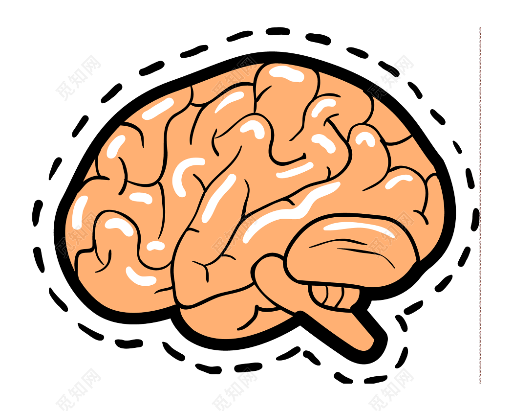 图5-1-67 经大脑皮质上部横断面-人体解剖学与组织生理病理学-医学
