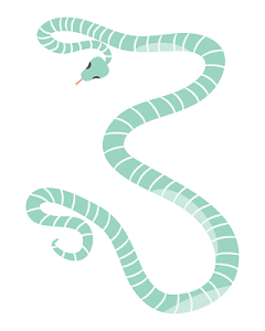 蛇尾插画图片