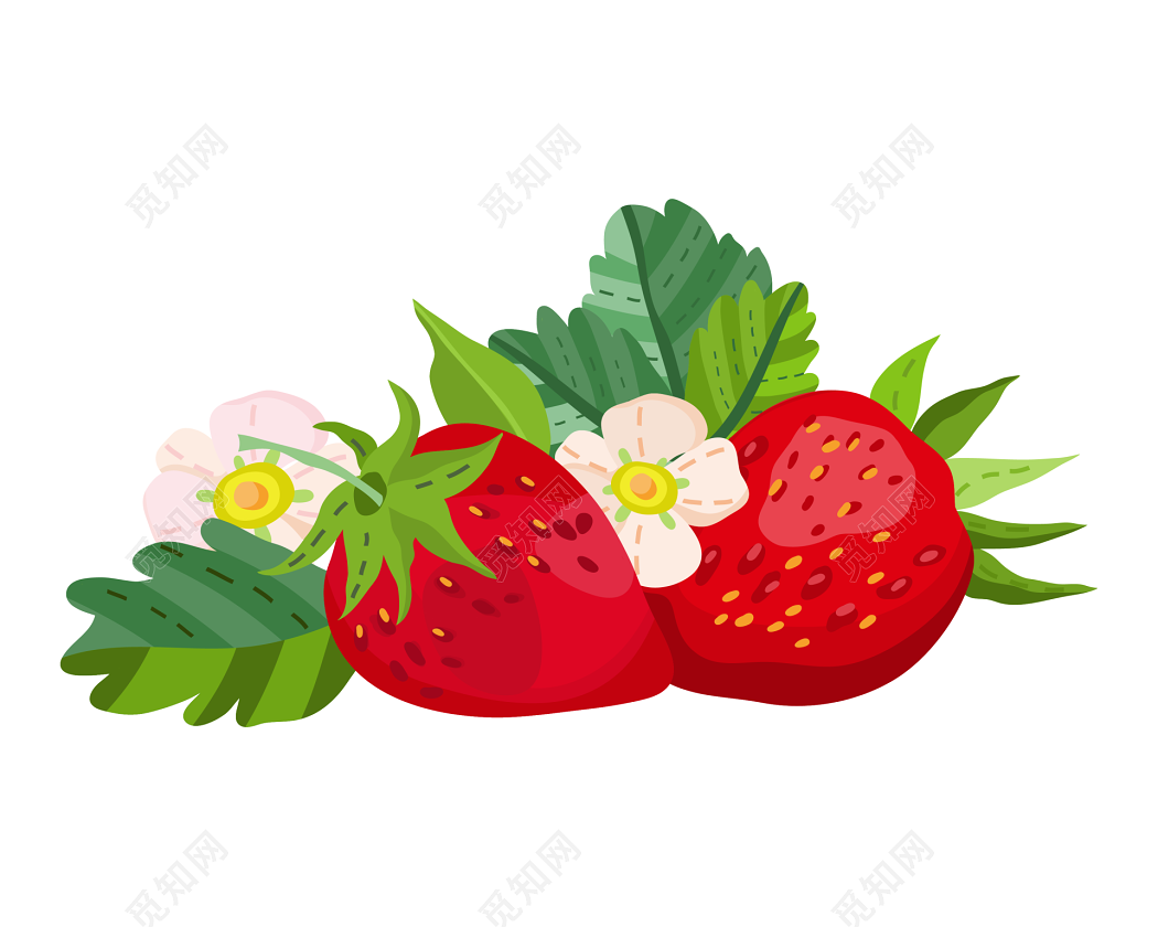 手绘草莓图片素材免费下载 - 觅知网