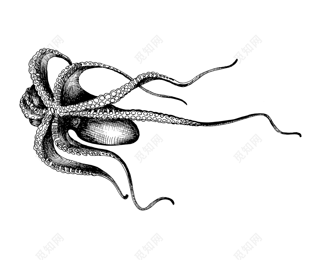 章鱼复古形象软体动物素描在插画图片素材_ID:420242596-Veer图库