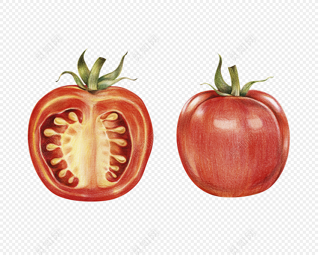 水果西红柿手绘插画图片-千库网