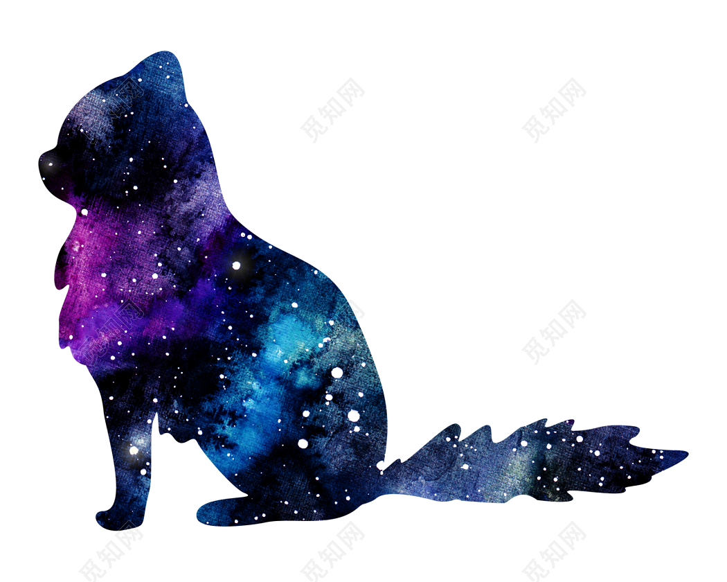 猫猫的星空|摄影|动物|啊拙 - 原创作品 - 站酷 (ZCOOL)