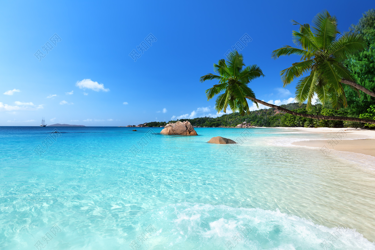 夏天海南岛沙滩椰树旅游摄影图高清摄影大图-千库网