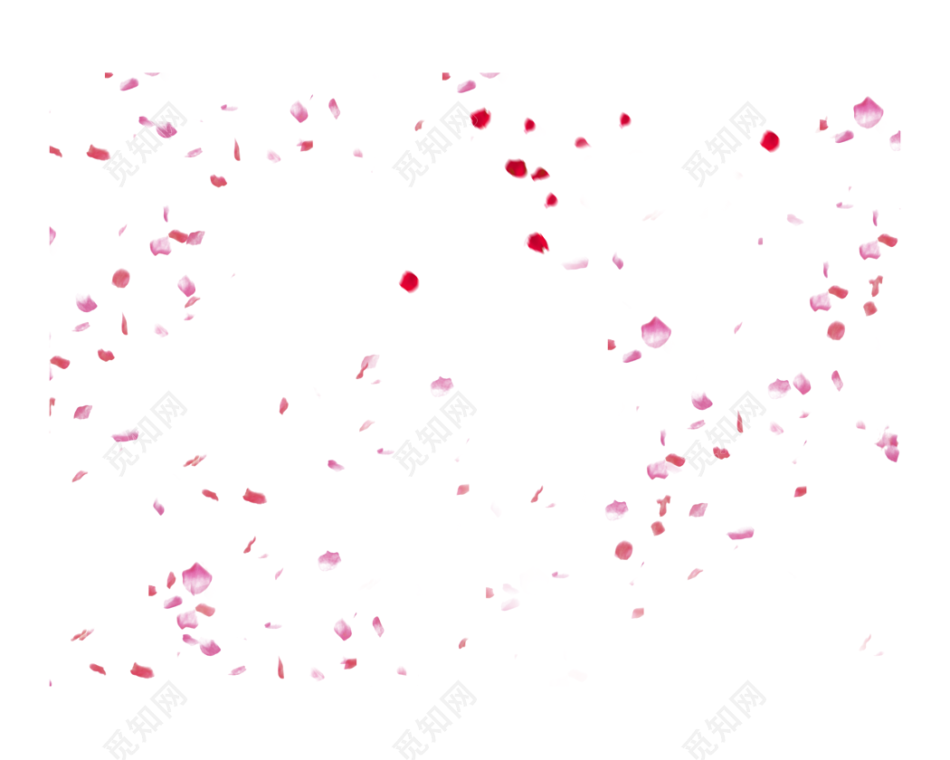 散落的玫瑰花瓣图片素材-编号16042001-图行天下