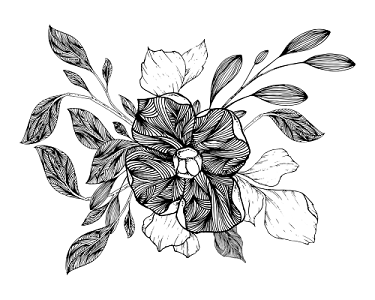 简约黑白镂空韩风插图花植物