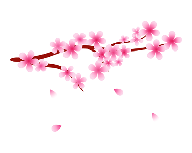 掉落的樱花花瓣矢量图
