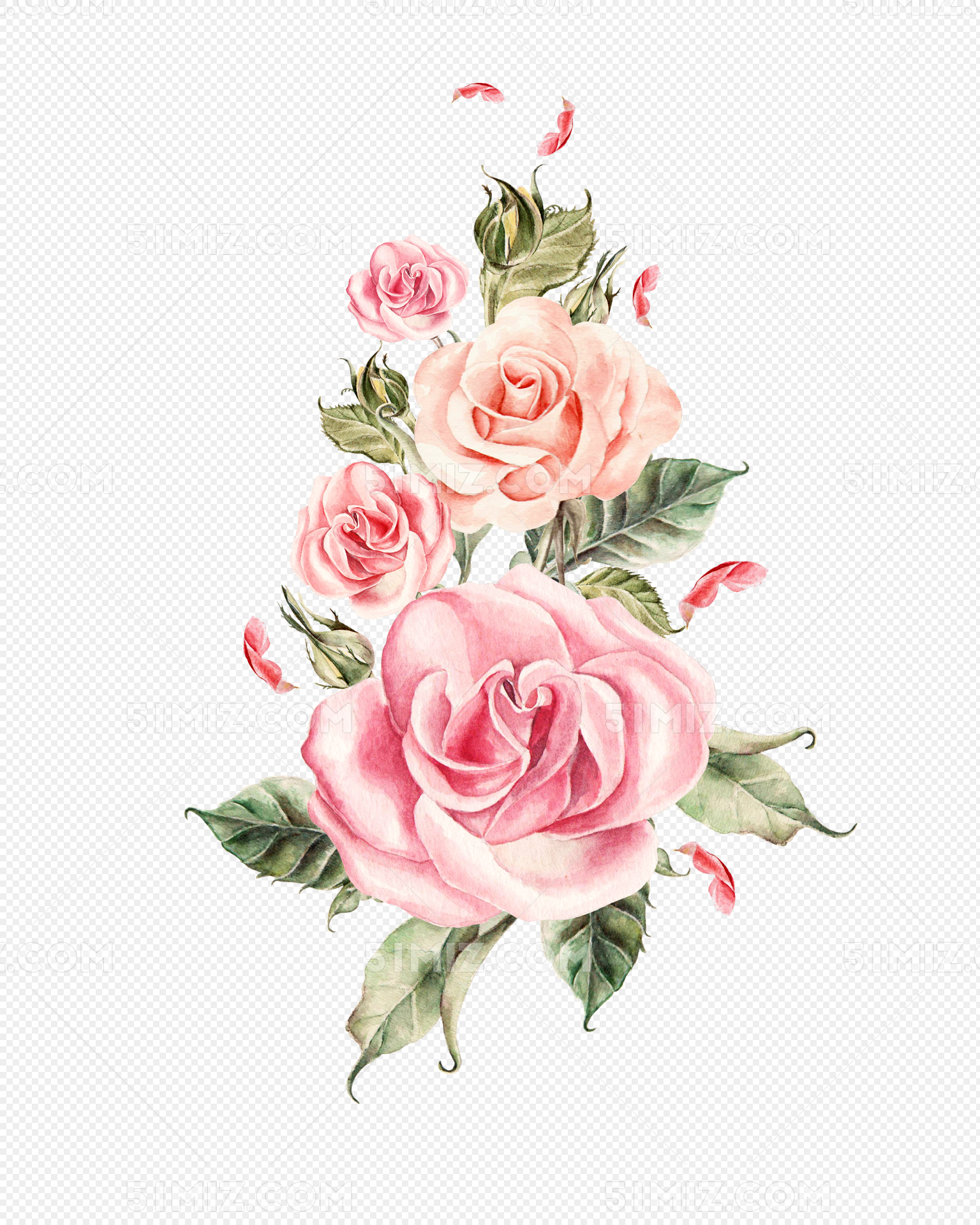 手绘水彩玫瑰图片素材免费下载 - 觅知网