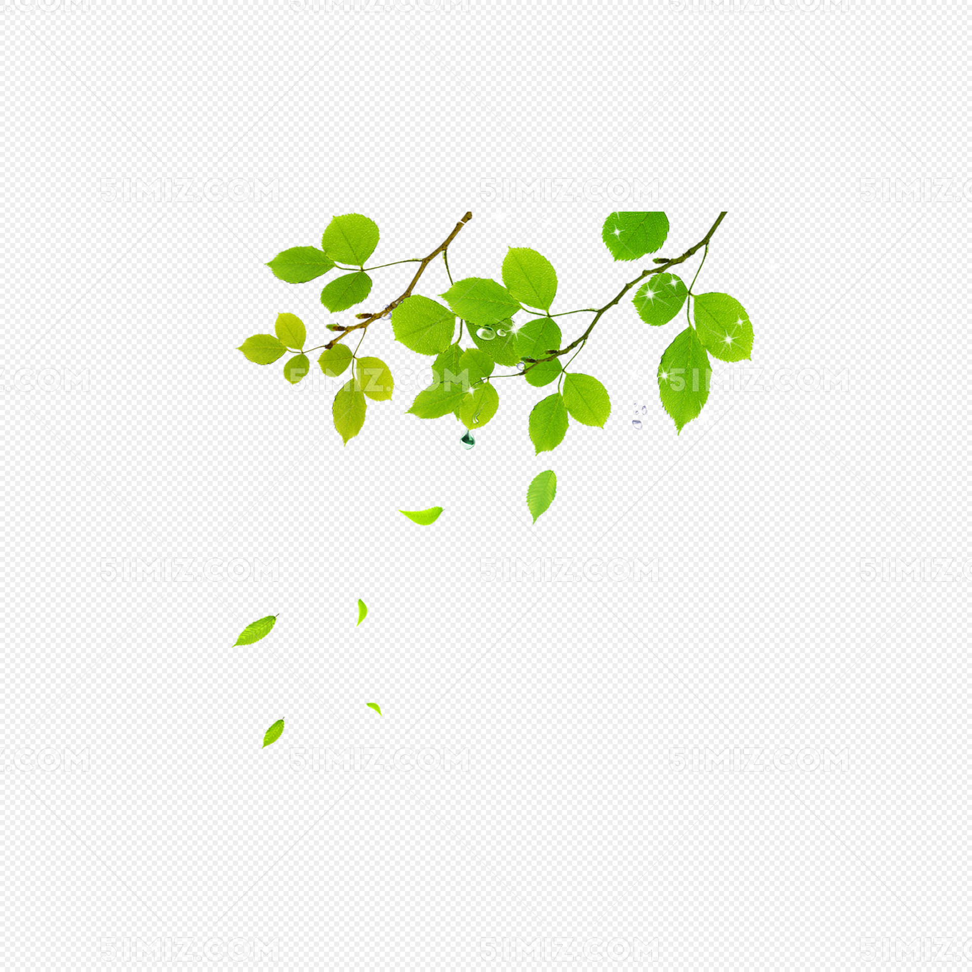 绿色树枝树叶手绘素材免费下载 - 觅知网