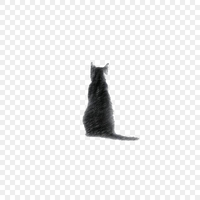 素描风格猫咪孤独的背影图