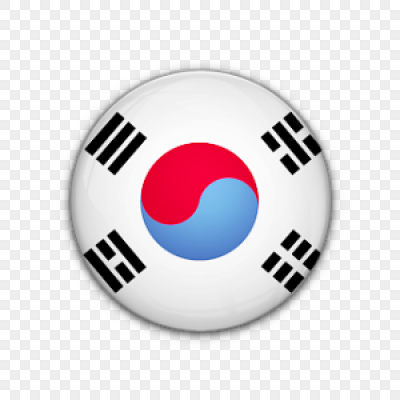 国旗韩国对南世界标志图标