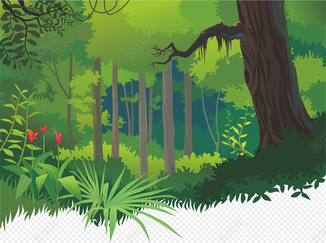 热带雨林|插画|商业插画|有珂豆豆 - 原创作品 - 站酷 (ZCOOL)