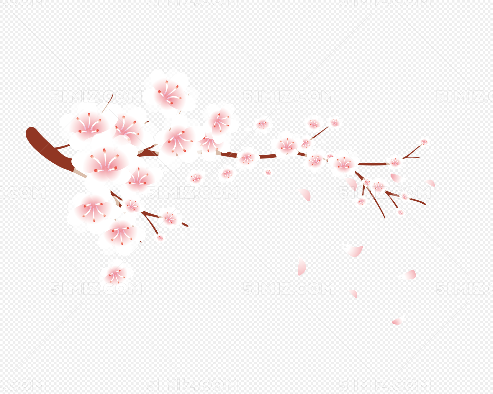 樱花花瓣素材免费下载 - 觅知网