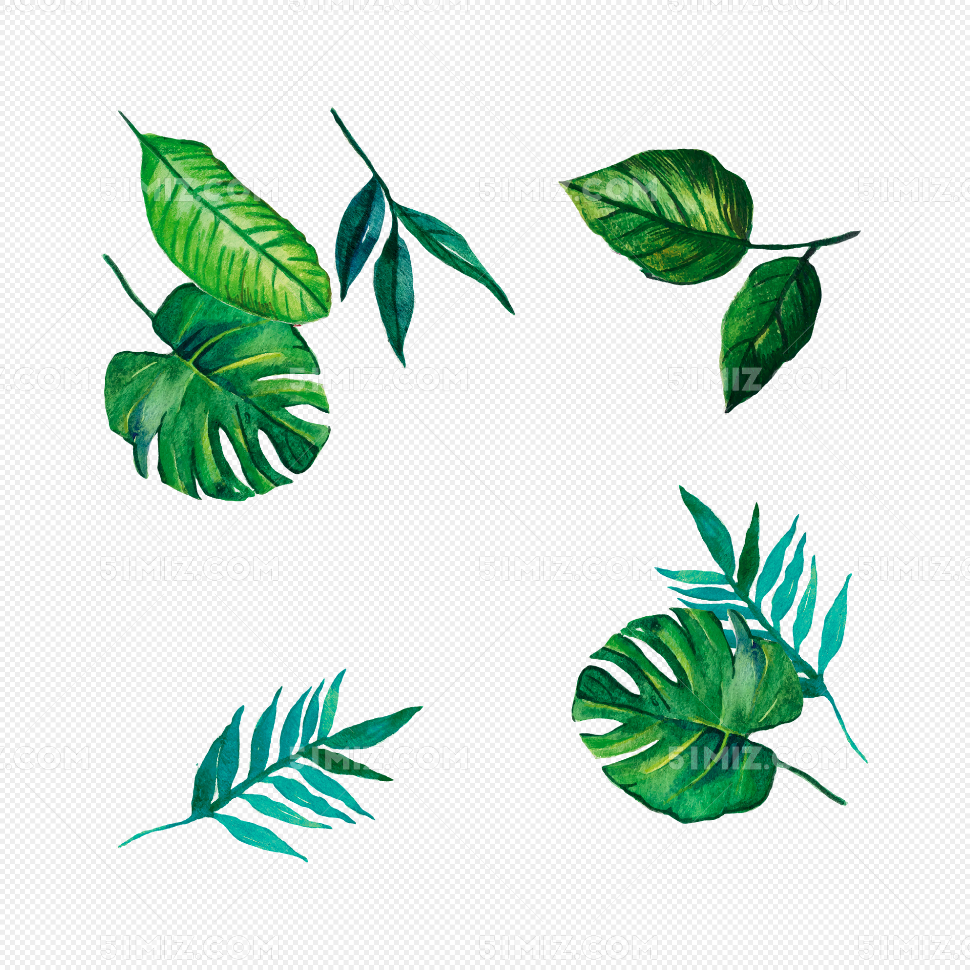 手绘清新大叶植物装饰图片素材免费下载 - 觅知网
