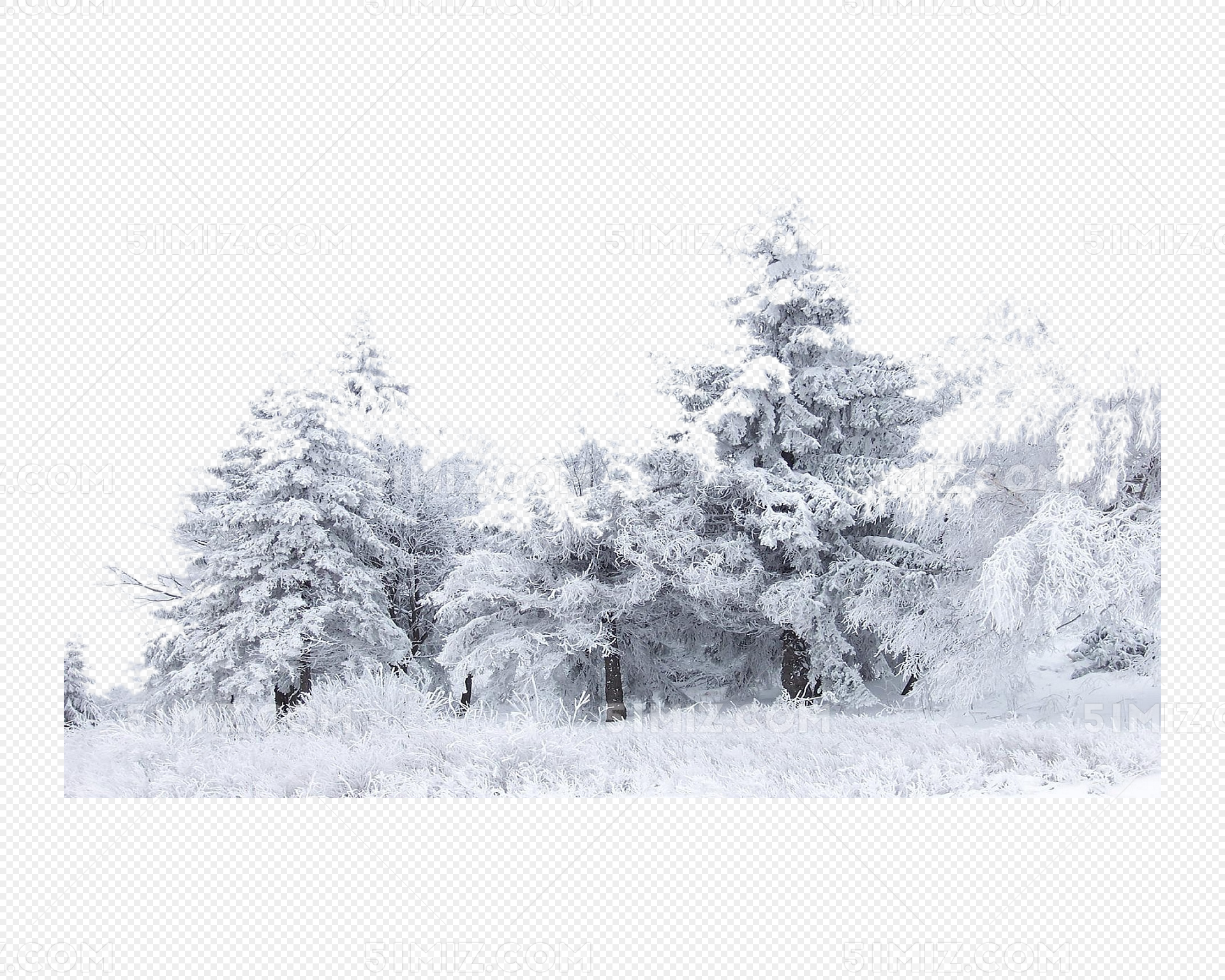 冬季树林的雪松雪景桌面壁纸-壁纸图片大全
