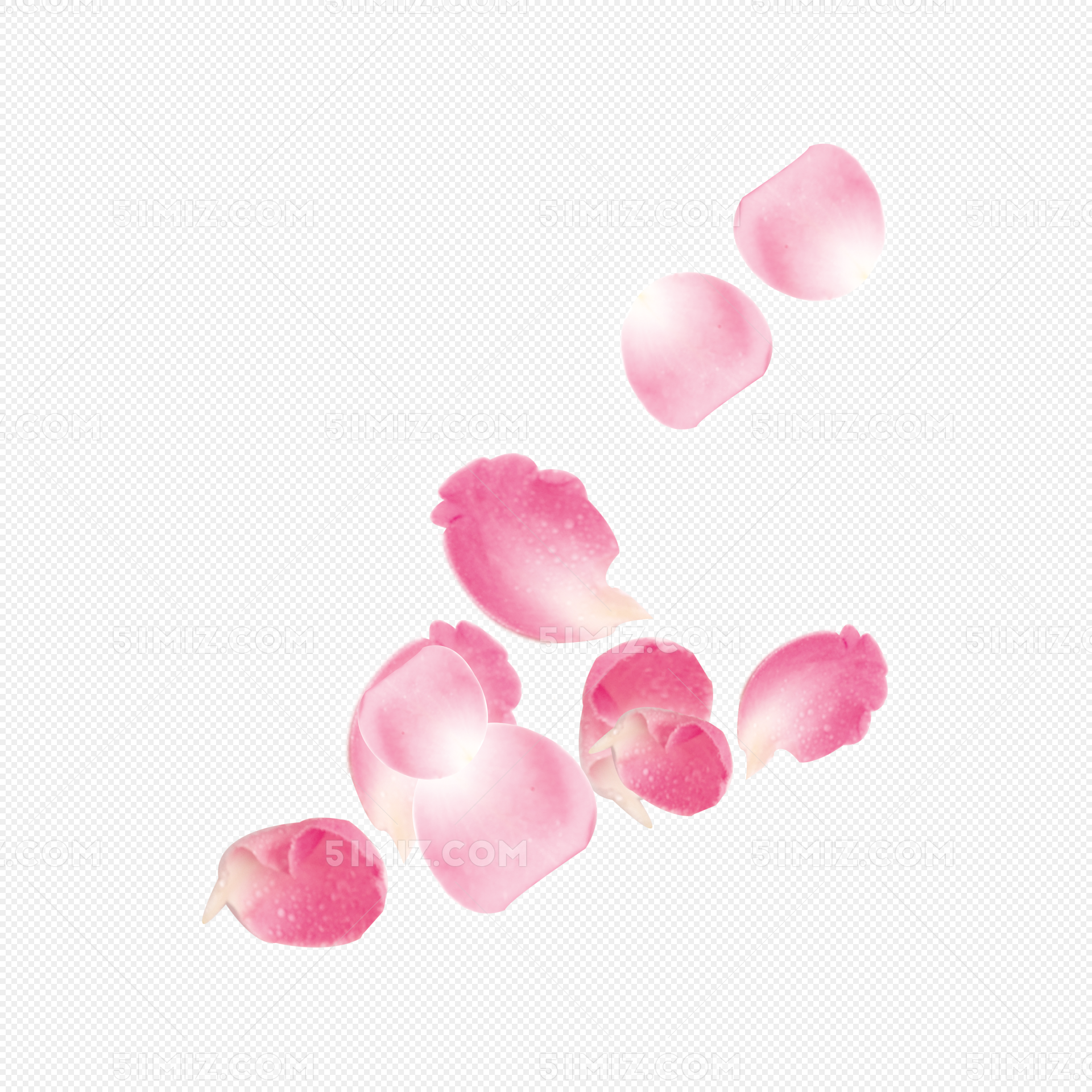 漂浮花瓣图片素材免费下载 - 觅知网