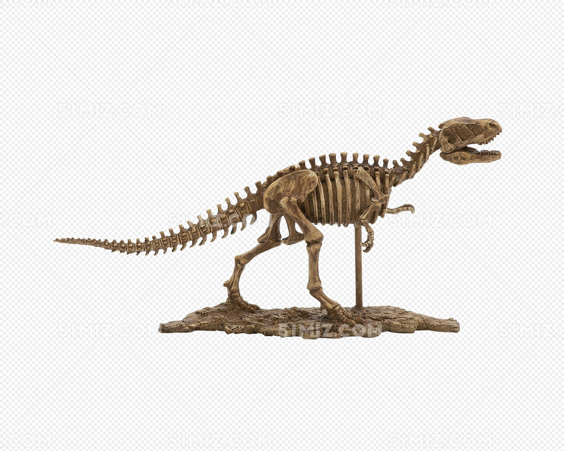 恐龙怎么画，迅猛龙的骨骼绘画素材-普画网