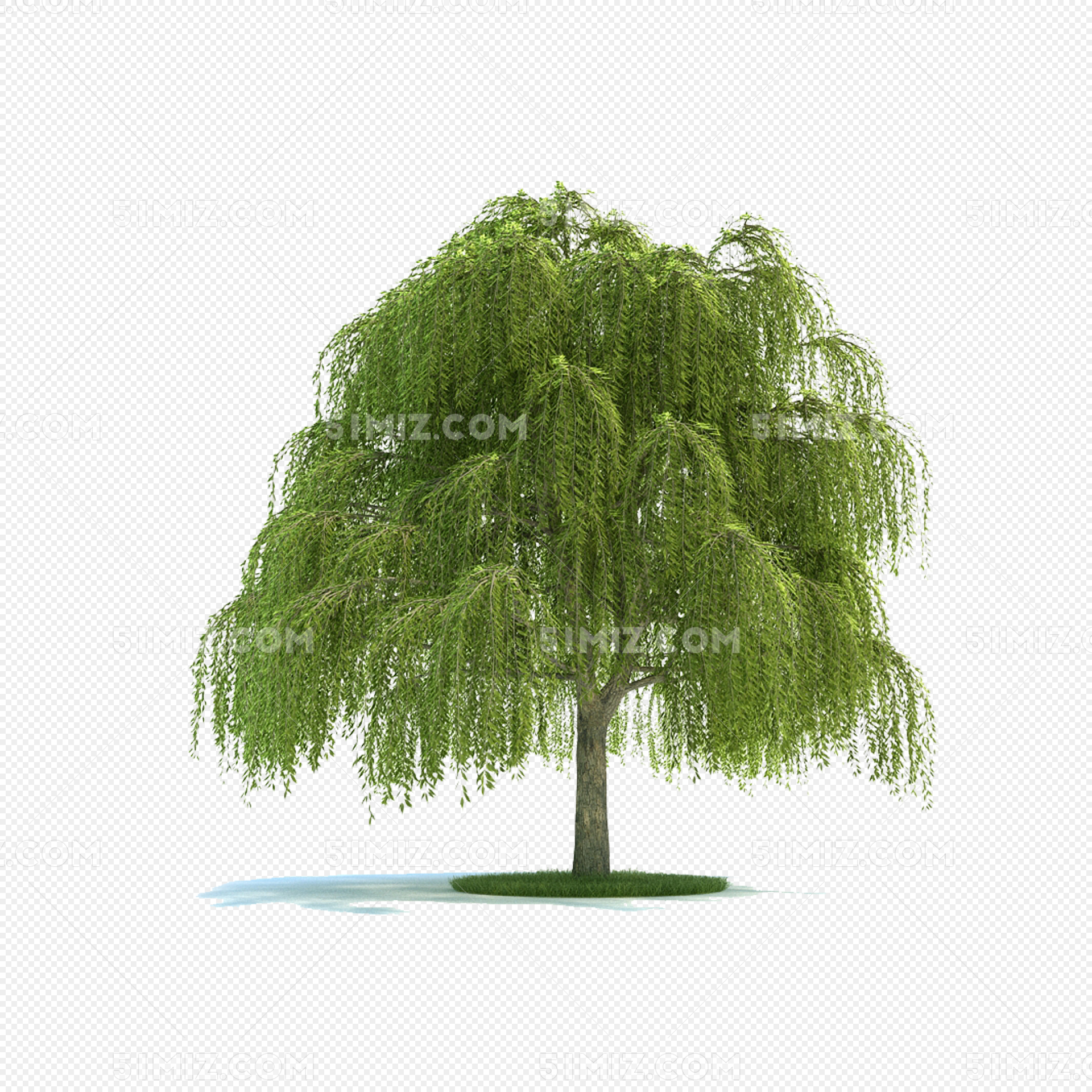 卡通柳樹 手繪柳樹 漂亮的柳樹 綠色的樹葉, 植物裝飾, 植物圖, 樹葉樹葉植物綠色綠植素材圖案，PSD和PNG圖片免費下載