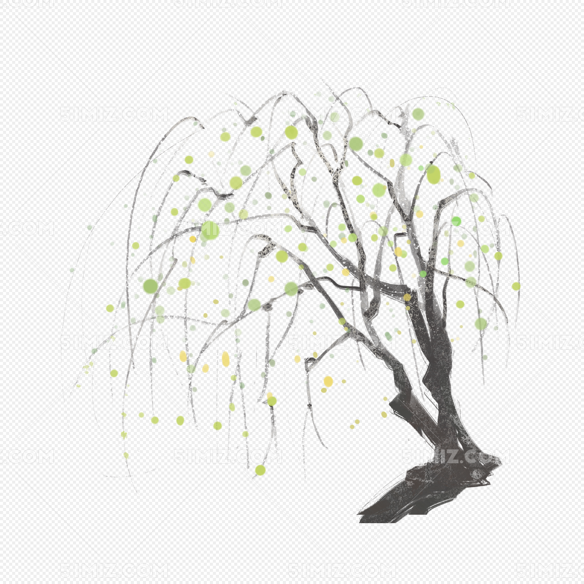 Hand Drawn Botanical PNG Transparent, Cartoon Hand Drawn Botanical Illustration Willow, Cartoon ...