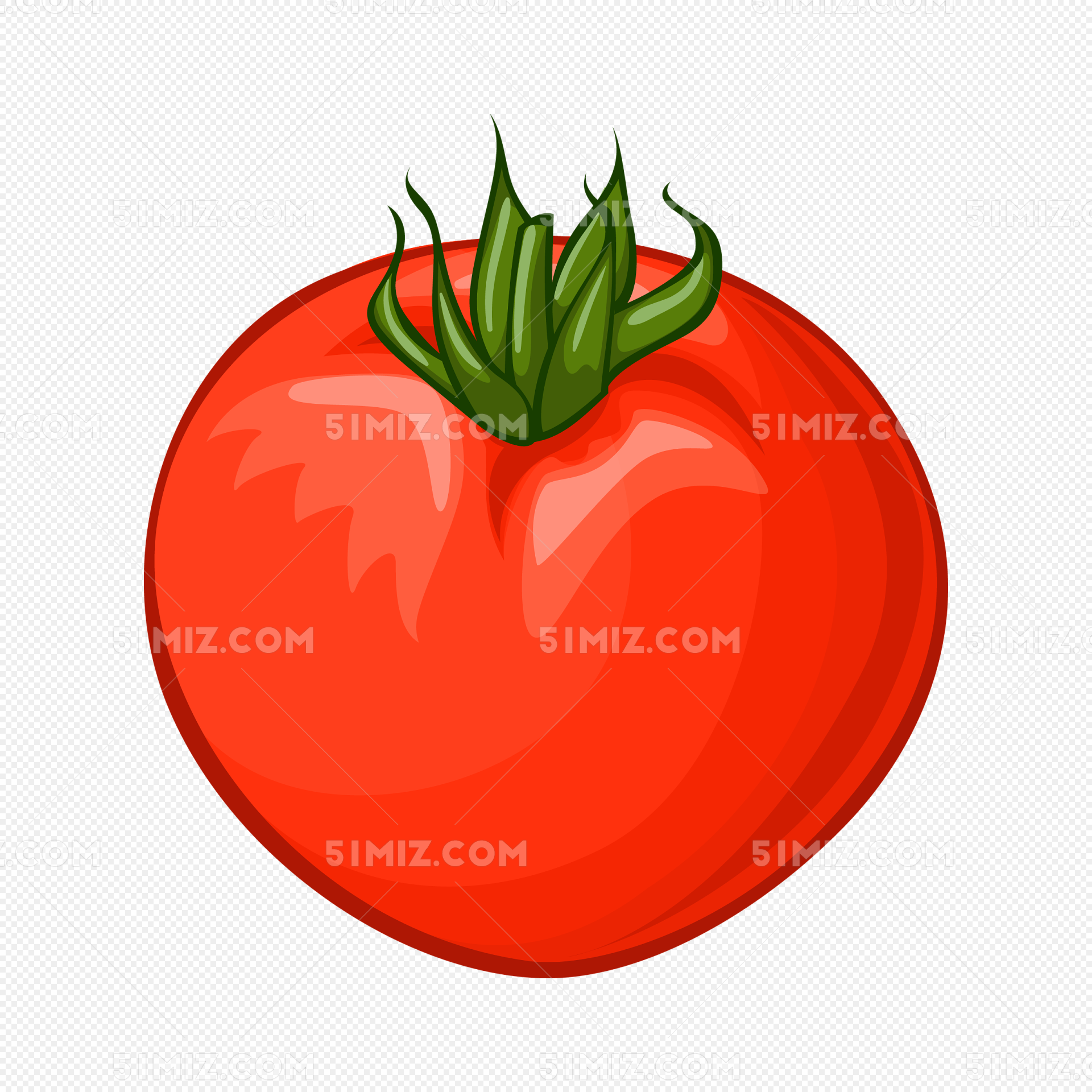 手绘蔬菜—番茄|插画|插画习作|林中小蜗 - 原创作品 - 站酷 (ZCOOL)