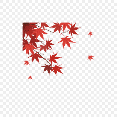 紅楓