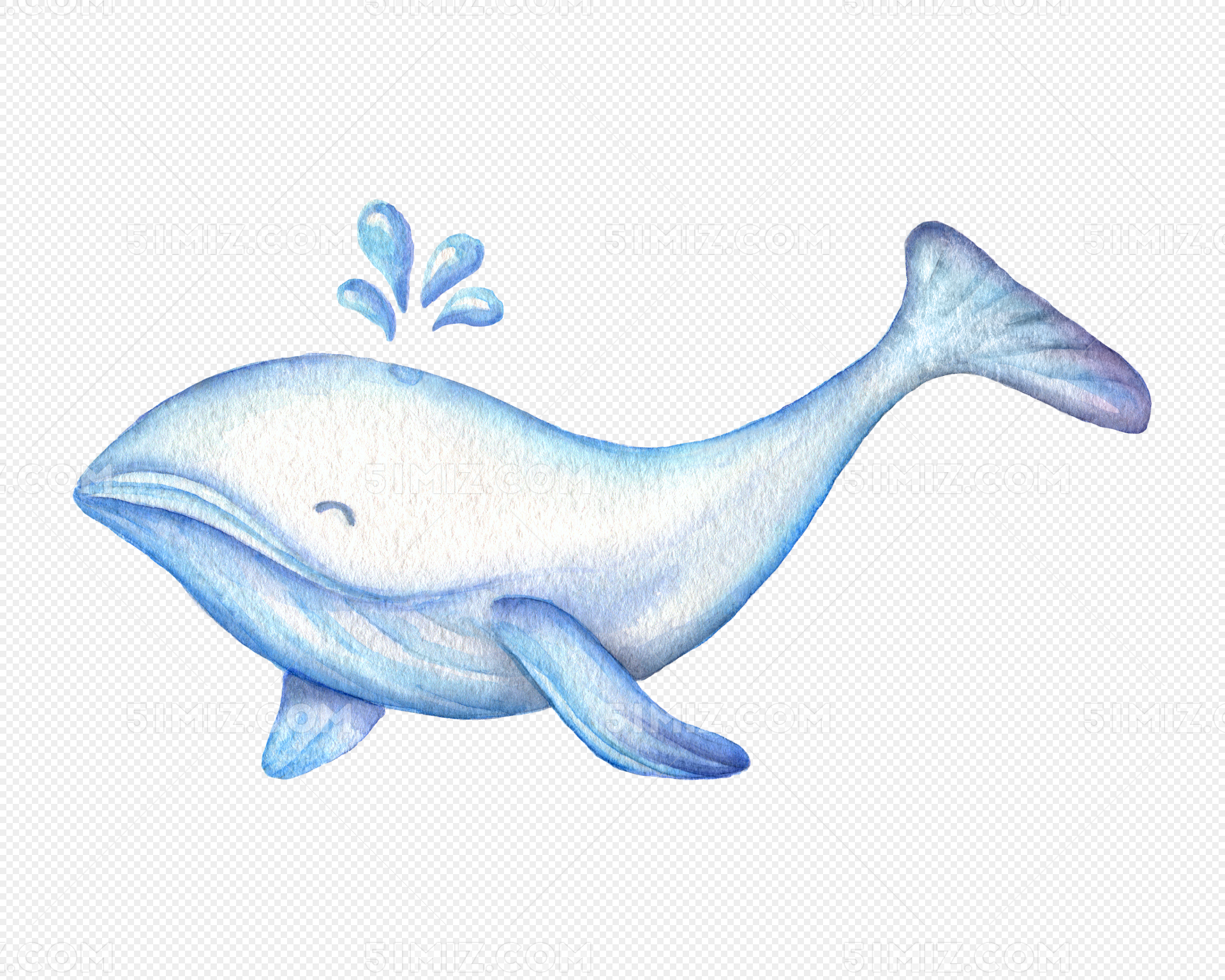 可爱q版鲸鱼插图(可爱、q版、鲸鱼、海水、海、海洋、海草、小鱼、鱼类、插图)儿童插图_北极熊素材库