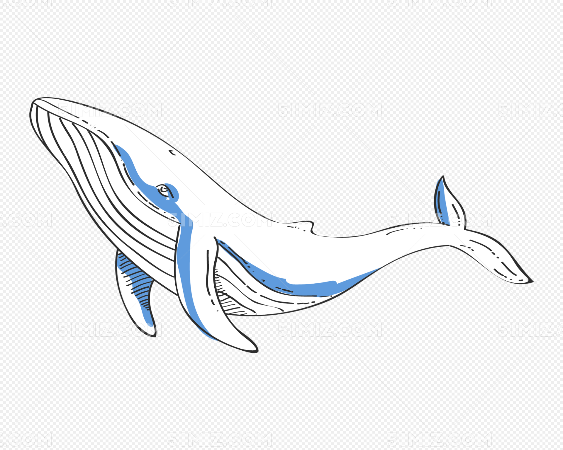 鲸鱼简笔画_鲸鱼简笔画