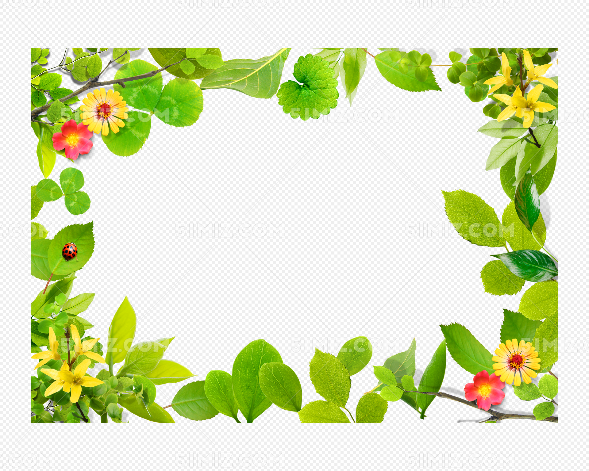 绿色花朵边框图片素材免费下载 - 觅知网