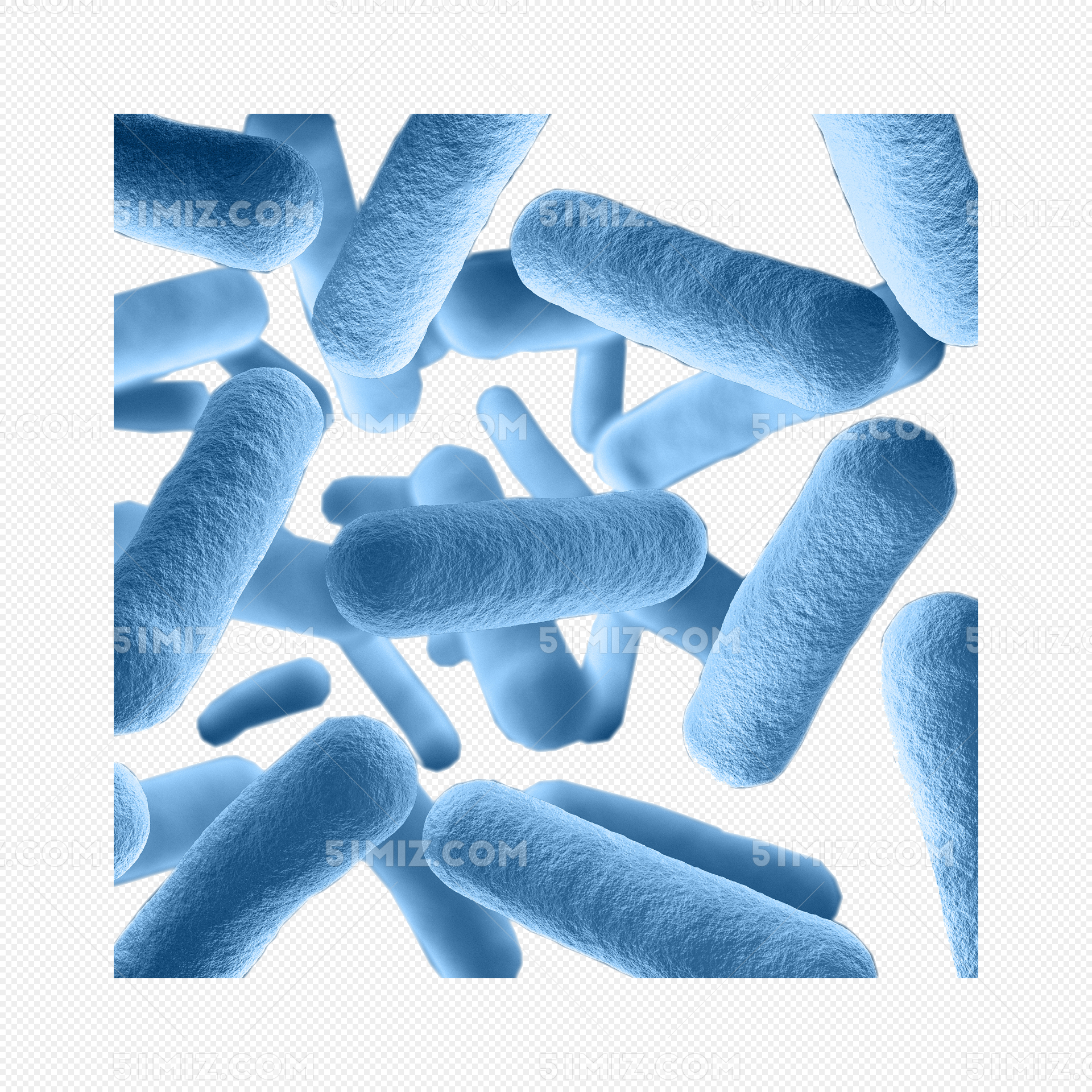 蓝色细菌微生物图片素材免费下载 觅知网